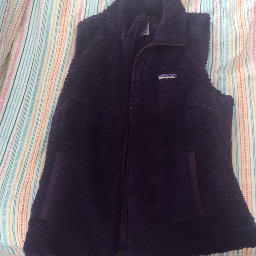 Patagonia vest
